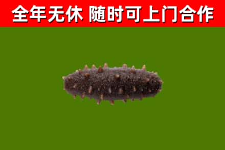 荷泽市烟酒回收干海参.jpg